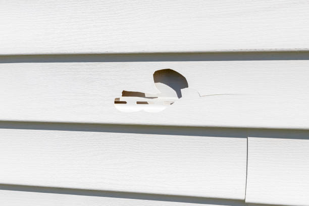 Siding Removal and Disposal